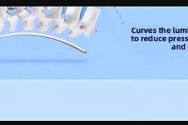 ერგონომიული სკამი საოფისე Cuion Barest Pad წელის ს