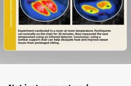 ერგონომიული სკამი საოფისე Cuion Barest Pad წელის ს