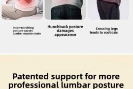 ერგონომიული სკამი საოფისე Cuion Barest Pad წელის ს