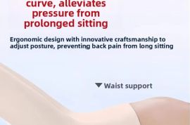 ერგონომიული სკამი საოფისე Cuion Barest Pad წელის ს