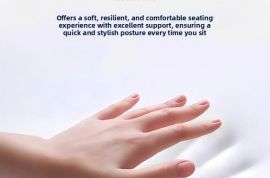 ერგონომიული სკამი საოფისე Cuion Barest Pad წელის ს