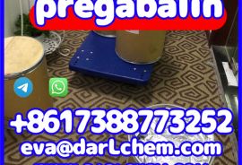 High quality pharma grade 99% API Pregabalin for a