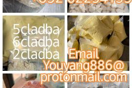 ავტომობილები, მოტო, სპეც-ტექნიკა, ავტომობილები, Audi, A2