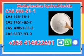 Buy High Quality CAS 593-51-1 Methylamine Hydrochl