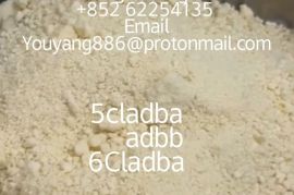 ავტომობილები, მოტო, სპეც-ტექნიკა, ავტომობილები, Audi, A2