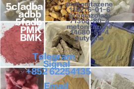 99% Purity CAS:71368-80-4 Bromazolam Factory Price