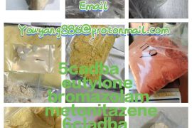 Sell protonitazene cas 119276-01-6 with safe deliv