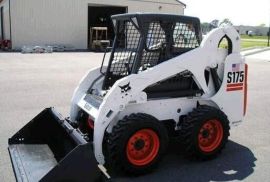 ბობკატის გაქირავება