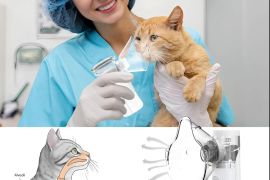 ელექტრონული ნებულაიზერი MESH 308 შინაური ცხოველები