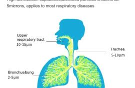 ელექტრონული ნებულაიზერი MESH 308 შინაური ცხოველები
