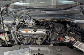 ბოლზე შემოწმება, დიაგნოსტიკა (სერვისები)