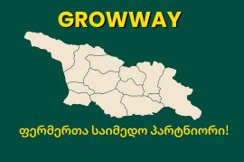  NPK 20-20-20  გროუვეი წყალში ხსნადი #სასუქი