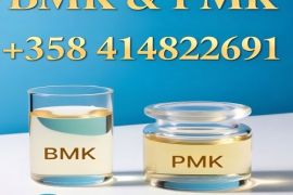 how to buy Hot sales New PMK CAS 28578-16-7 substitutes   with good quality   