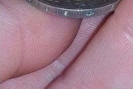 იყიდება  ქარხნული წუნის მქონე მონეტა (mint error coin) -2ევრო