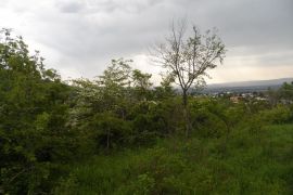 იყიდება, უძრავი ქონება, მიწის ნაკვეთები