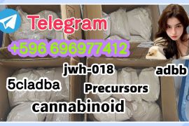 Strongest 5cladba raw material 5CL-ADB-A precursor powder and liquid