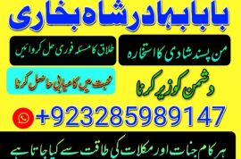 uk, usa, canada, and pakistan amil baba love marriage in canada