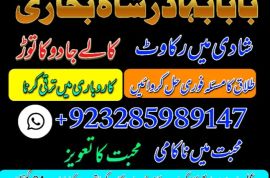 uk, usa, canada, and pakistan amil baba love marriage in canada