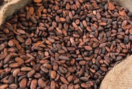 farmerscooperativelimited.com Coffee, Cashews, Sunflower oil, Palm Oil, Soybean oil, Beans, Maize, Peanut, Green Cardamom