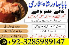uk, usa, canada, and pakistan amil baba love marriage in canada