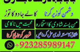 uk, usa, canada, and pakistan amil baba love marriage in canada
