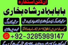 uk, usa, canada, and pakistan amil baba love marriage in canada