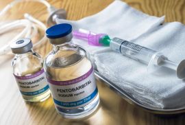 (WhatsApp : +33 7 53 90 93 38)Acheter Pentobarbital en France-Pentobarbital Achat