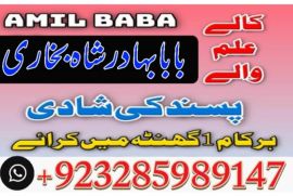 uk, usa, canada, and pakistan amil baba love marriage in canada