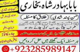 uk, usa, canada, and pakistan amil baba love marriage in canada