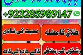 uk, usa, canada, and pakistan amil baba love marriage in canada