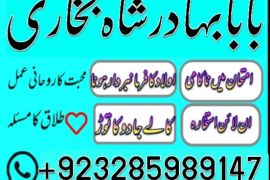 uk, usa, canada, and pakistan amil baba love marriage in canada