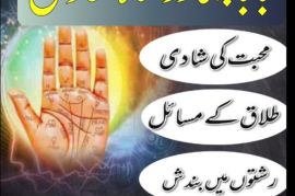 uk, usa, canada, and pakistan amil baba love marriage in canada