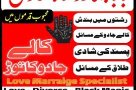 uk, usa, canada, and pakistan amil baba love marriage in canada