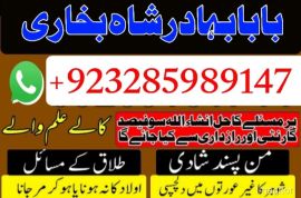 uk, usa, canada, and pakistan amil baba love marriage in canada