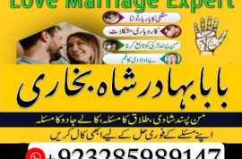 uk, usa, canada, and pakistan amil baba love marriage in canada