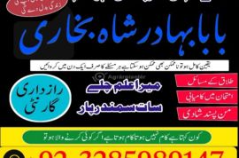 uk, usa, canada, and pakistan amil baba love marriage in canada