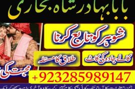 uk, usa, canada, and pakistan amil baba love marriage in canada