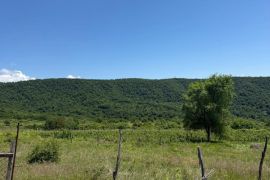 იყიდება, უძრავი ქონება, მიწის ნაკვეთები