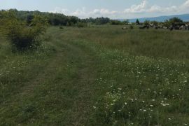იყიდება, უძრავი ქონება, მიწის ნაკვეთები