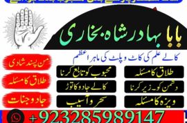 uk, usa, canada, and pakistan amil baba love marriage in canada