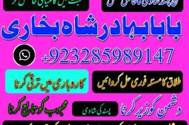 uk, usa, canada, and pakistan amil baba love marriage in canada