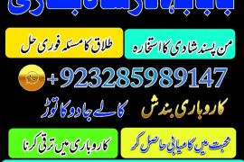 uk, usa, canada, and pakistan amil baba love marriage in canada