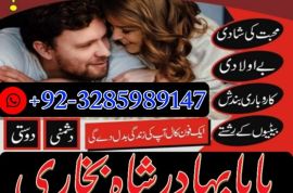 uk, usa, canada, and pakistan amil baba love marriage in canada