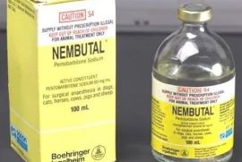 BUY NEMBUTAL ONLINE oral LIQUID and POWDER for sale