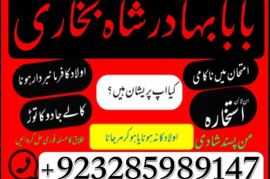 uk, usa, canada, and pakistan amil baba love marriage in canada
