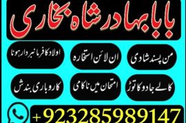 uk, usa, canada, and pakistan amil baba love marriage in canada
