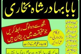 uk, usa, canada, and pakistan amil baba love marriage in canada