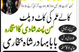 uk, usa, canada, and pakistan amil baba love marriage in canada