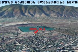 იყიდება, უძრავი ქონება, მიწის ნაკვეთები