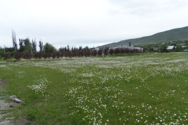 For Sale, Real Estate, Lands